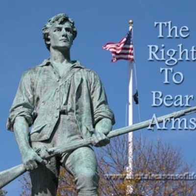 Timeline: Right To Bear Arms