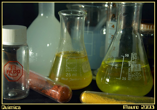 JEAN PIAGET COMIENZA UN PERÍODO DE ACTIVIDADES CIENTÍFICAS