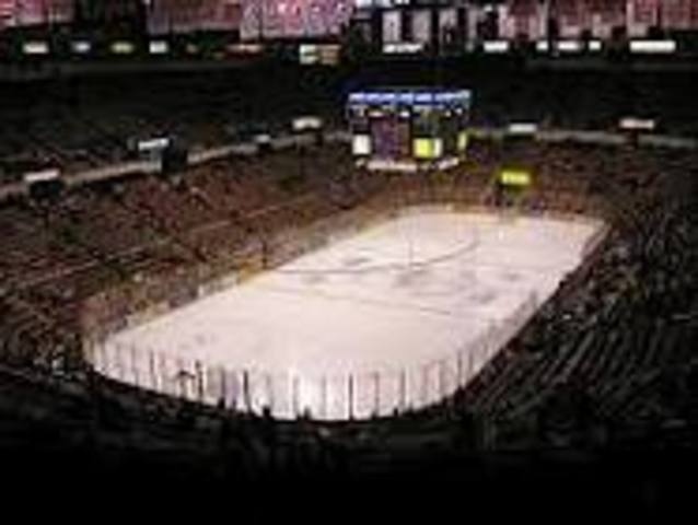 My First Red Wings Game At the Joe Louis Arena