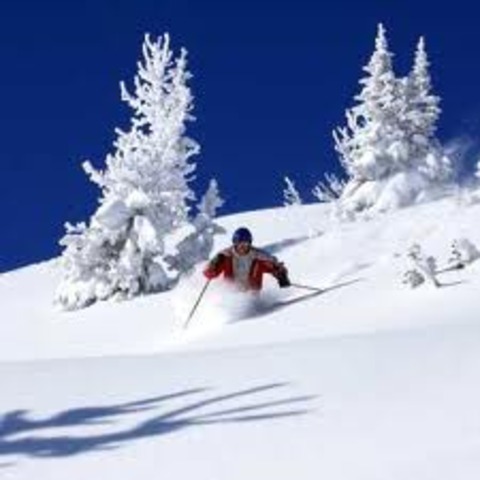 Went skiing with family