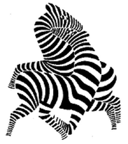 'Zebra' - Victor Vasarely