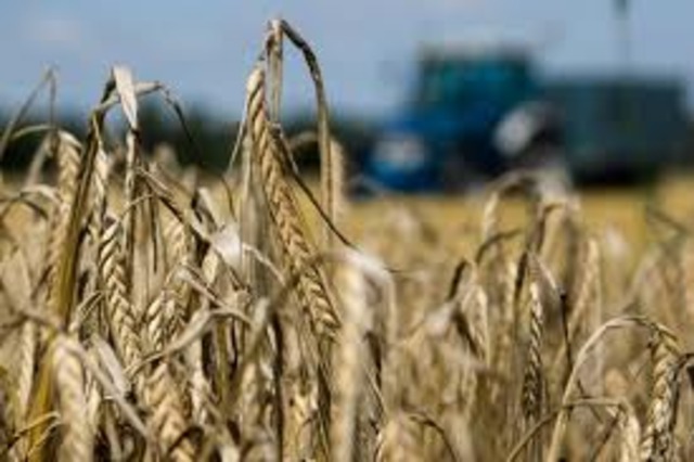 kød korn og andre landbrugsvarer