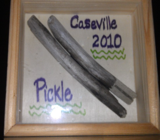 I got stabbed by a stick in my foot on vacation.