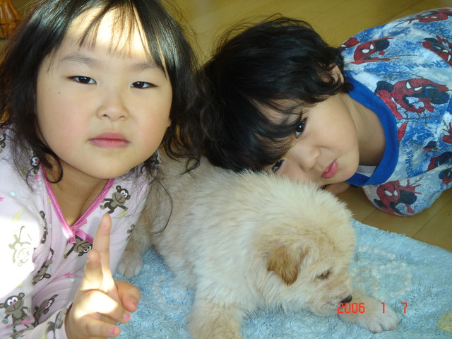 First time having a dog sleepover for more than a week