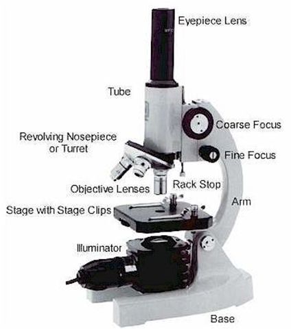 Invention of Microscope