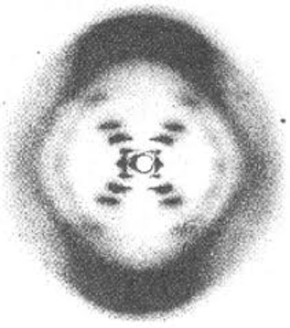 x-ray crystallography showed that DNA was a duble helix