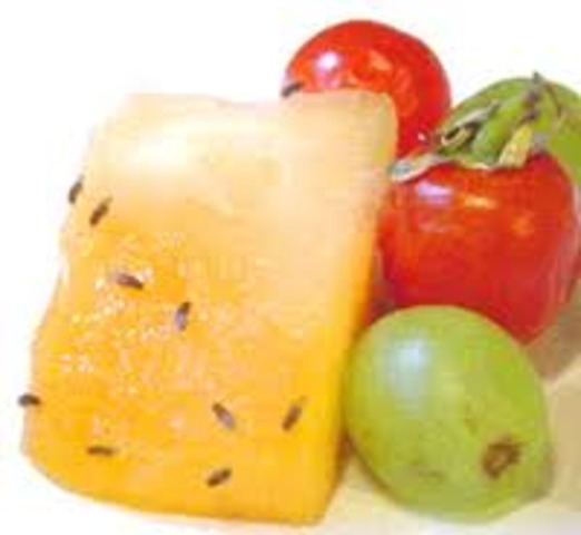 Study of Fruit Flies