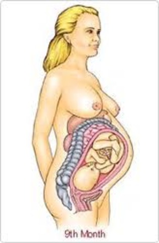 Month 9 - Baby