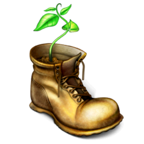 WALL-E discoveres plant