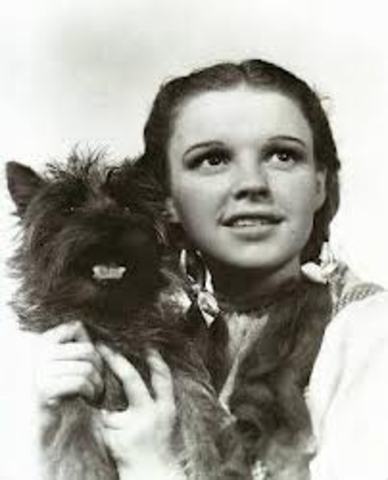 "Oh! Aunty Em! That mean old Almira Gulch said she's going to take Toto away!"