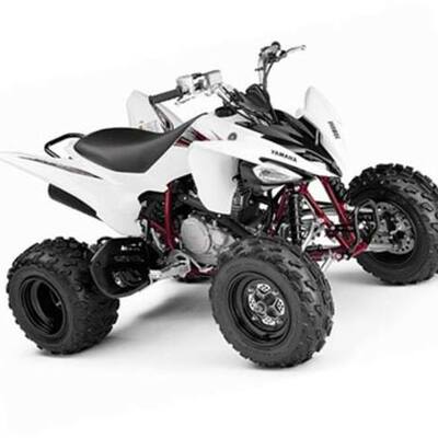 Timeline: Nico's Life