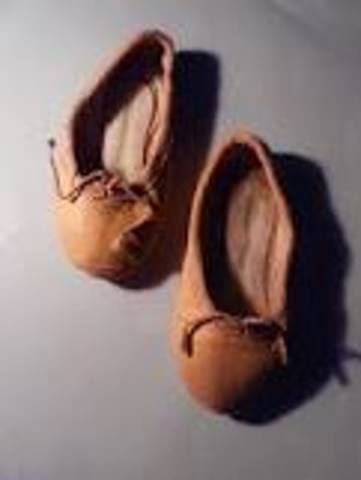 The First Ballet Shoe