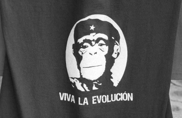 Aparición del lenguaje