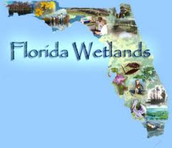 first time i went to florida :)