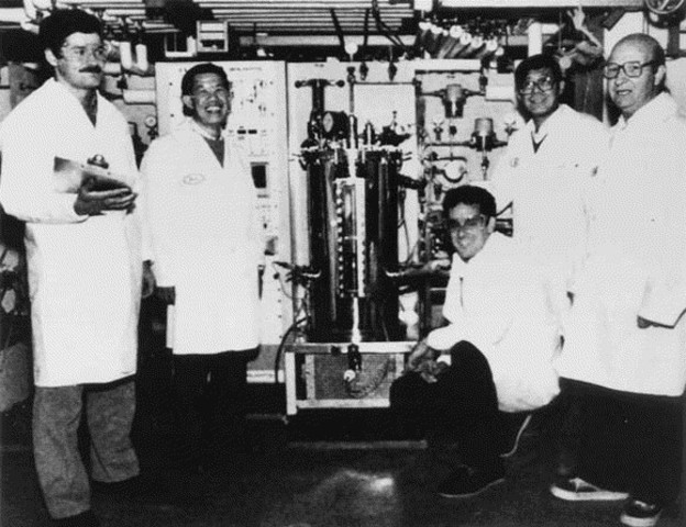 Synthetic insulin gene