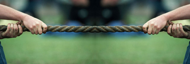 Won Tug-of-War & most Crunches at Field Day