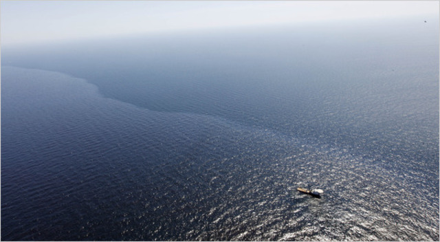 Oil Spill in the Gulf of Mexico