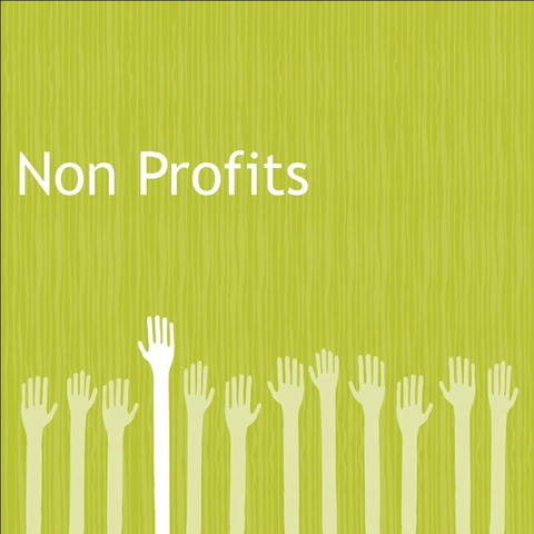 Established as Nonprofit Organization