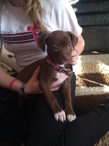 When we got Bella