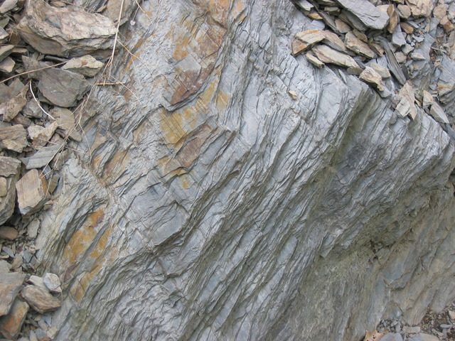 Lamarck publishes Principles of Geology