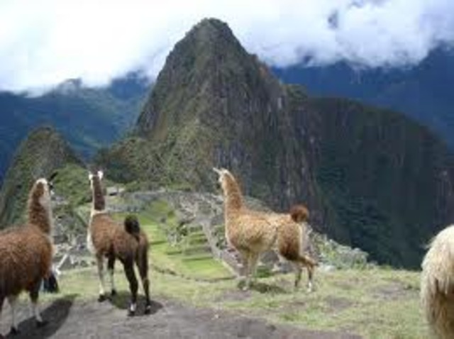 Primer texto en castellno escrito por un mestizo