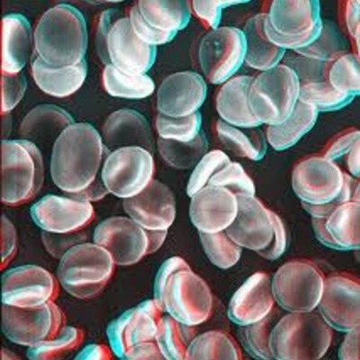 Timeline: Scientists and Cells Timeline!