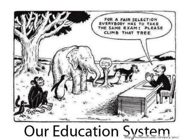 Moved to Geelong to study at Deakin University