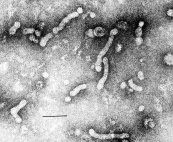 20th century invention