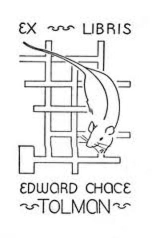 TOLMAN