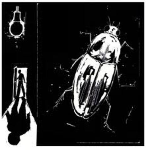 Franz Kafka; The Metamorphosis