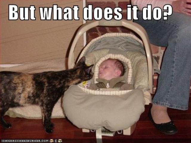 What Can The Tool Do?