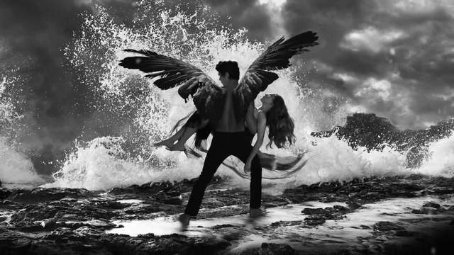 Start Hush, Hush Series