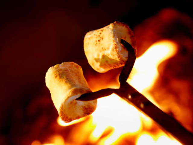 Went camping and roast marshmallows