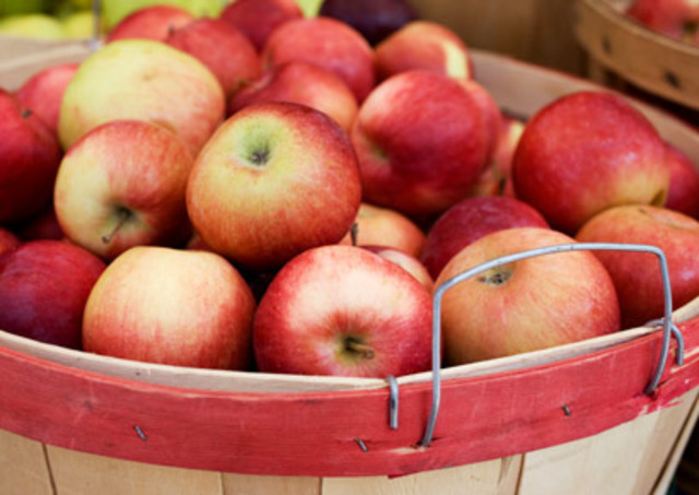 Picked apples and made them into apple juice