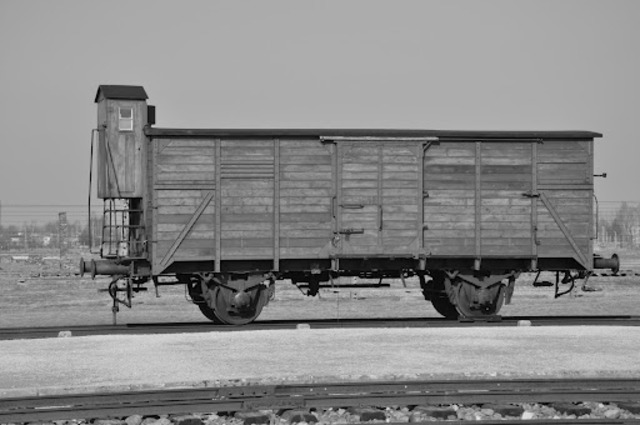 Foriegn Jews expelled from Sighet