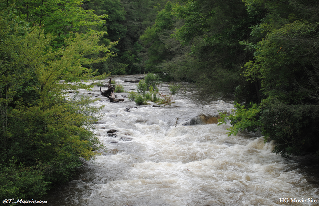 Katniss explores the arena and finds water