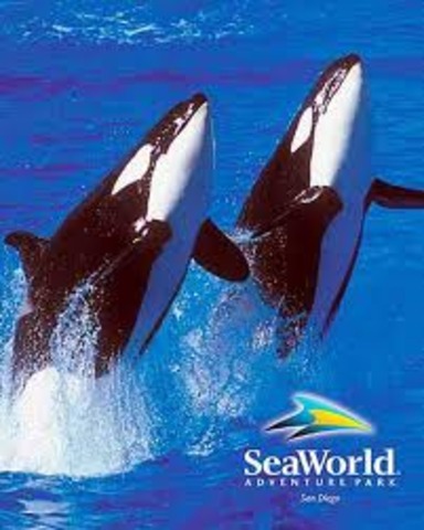 family trip to sea world