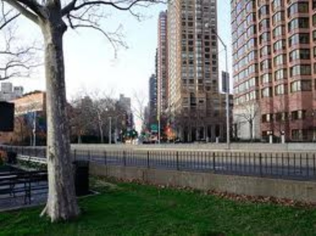 ManHattan's skyrocketing