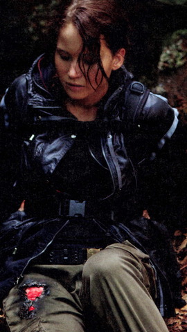 Katniss realizes she got hurt from the fire and gets medicine from the sponcers