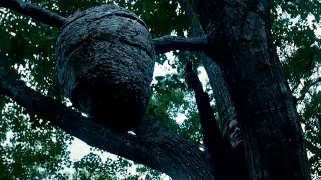 Katniss sets tracker jackers on the other tributes