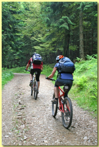 Went for bike ride with Alex