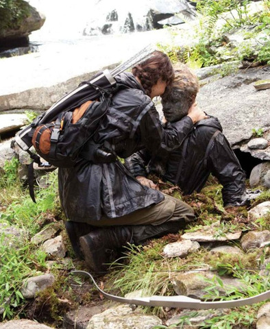 Katniss searches for Peeta and finds him injured and painted as a rock.