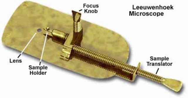 Leeuwenhoek's simple microscope