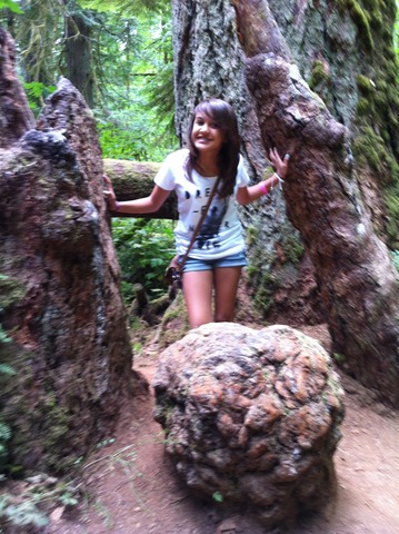 Went to cathedral forest in B.C.