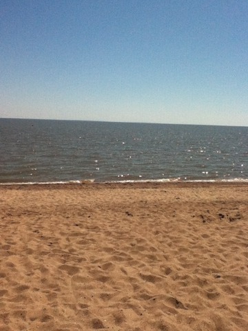 Canada Day at the Beach