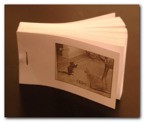 Flip book (kineograph)