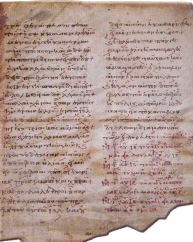 ΟΙ ΜΕΜΒΡΑΝΕΣ ΤΗΣ ΚΟΡΙΤΣΑΣ