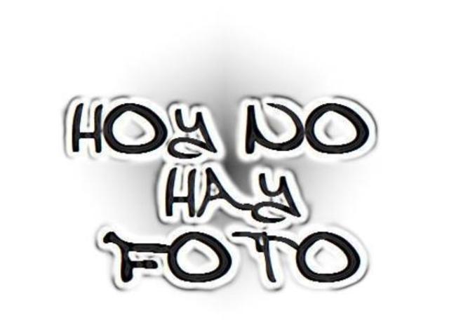 Juan III de Albret Dinastia Foix Albret (1484 - 1497)