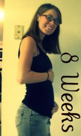 2 months pregnant belly