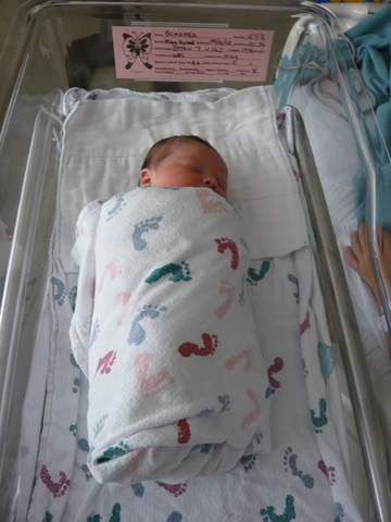Baby Schafer born.